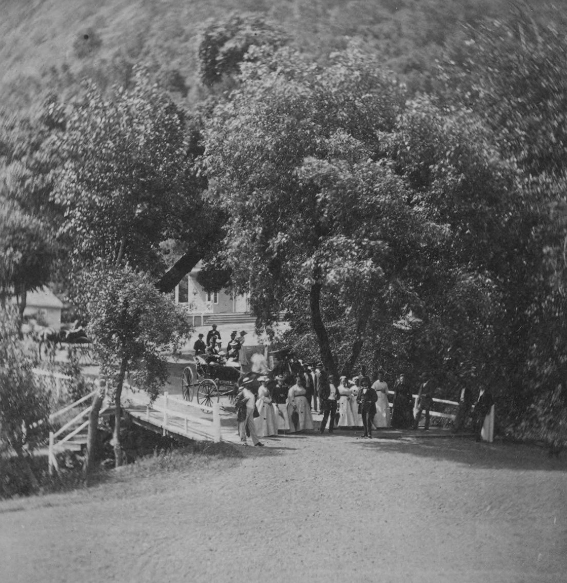 Black and white photograph by Carleton Watkins, about 1868, of a shaded road and visitors under large trees at the White Sulphur Springs, Napa County